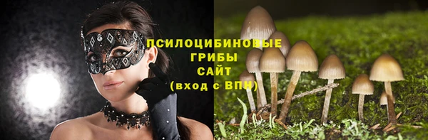 прущие крисы Нея