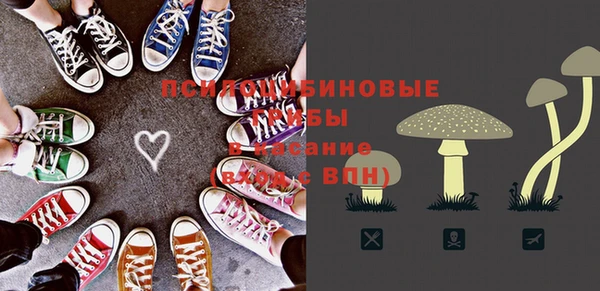 apvp Абинск