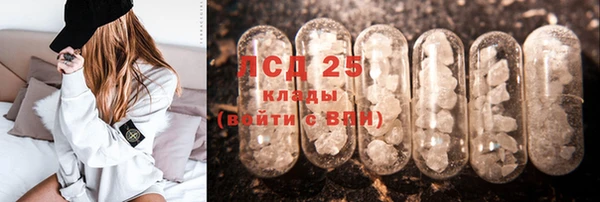 винт Абаза