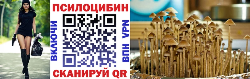 Псилоцибиновые грибы мухоморы  Тимашёвск 